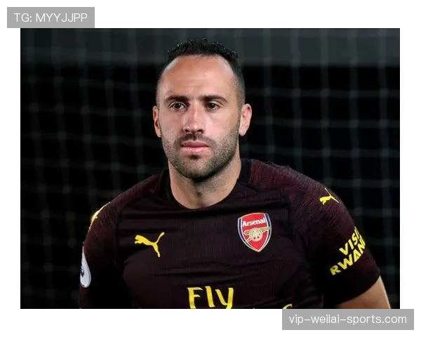 奥斯梅恩高价转会的价值评估：数据表现与战术适配性深度解析