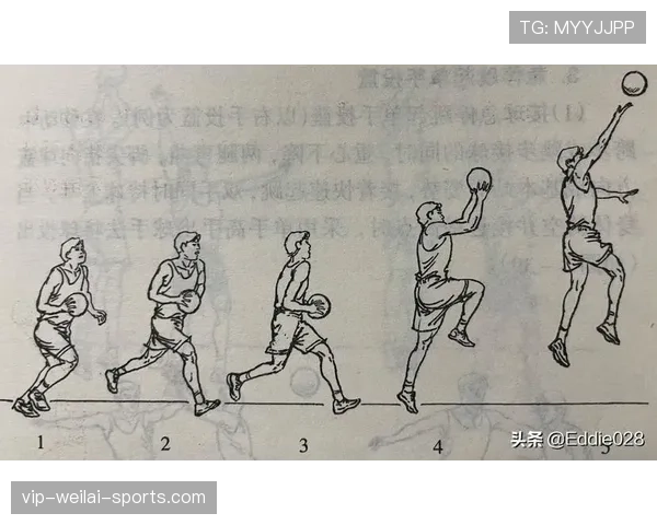 篮球补篮规则详解：违例、合法投篮与得分判定标准